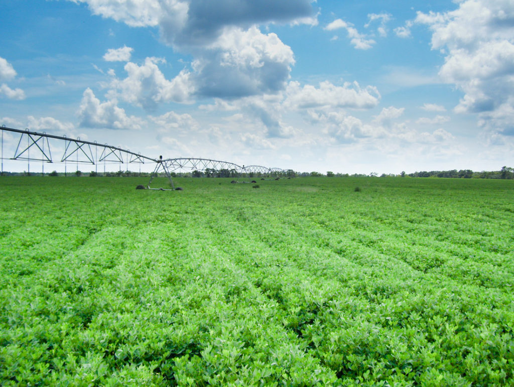 Agri Land Realty, LLC.