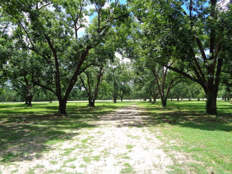 Agri Land Realty, LLC.