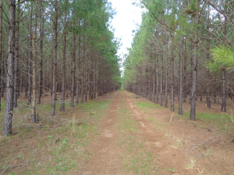 Agri Land Realty, LLC.