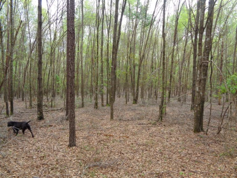 Agri Land Realty, LLC.