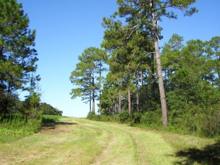 Agri Land Realty, LLC.