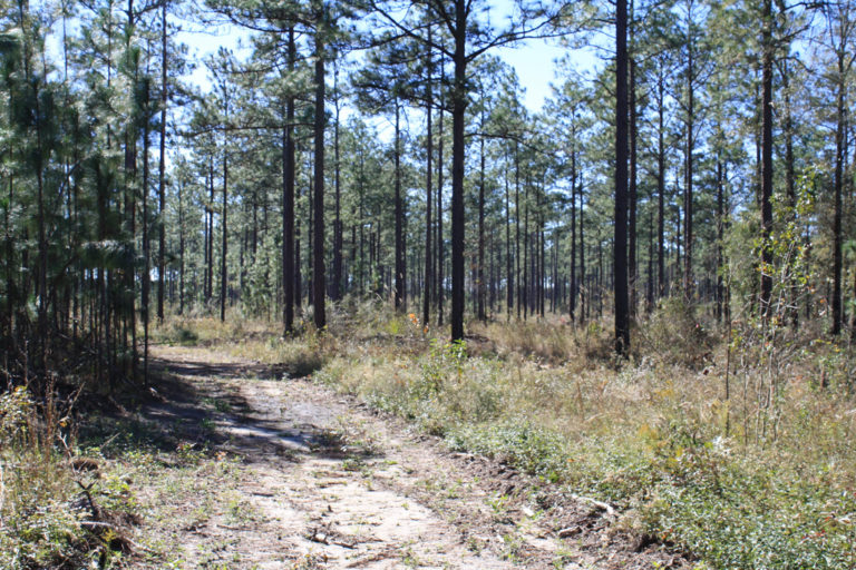 Agri Land Realty, LLC.