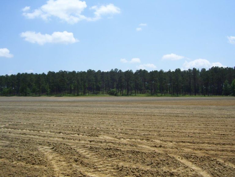 Agri Land Realty, LLC.