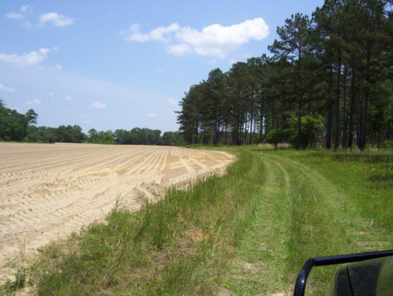 Agri Land Realty, LLC.