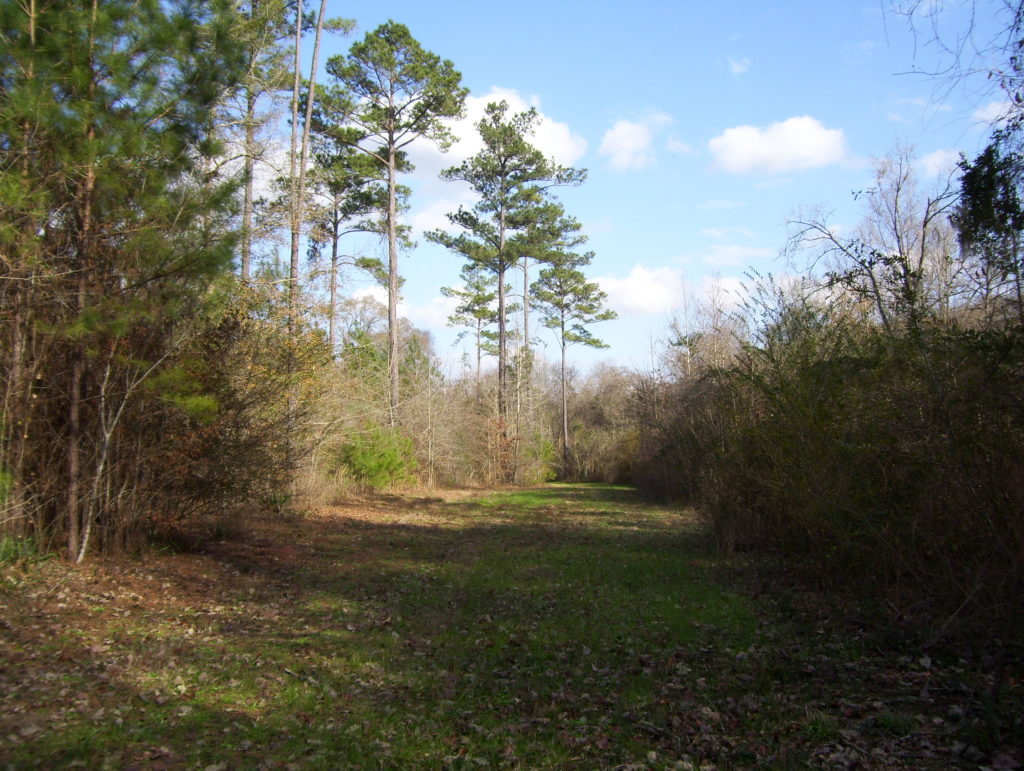 Agri Land Realty, LLC.