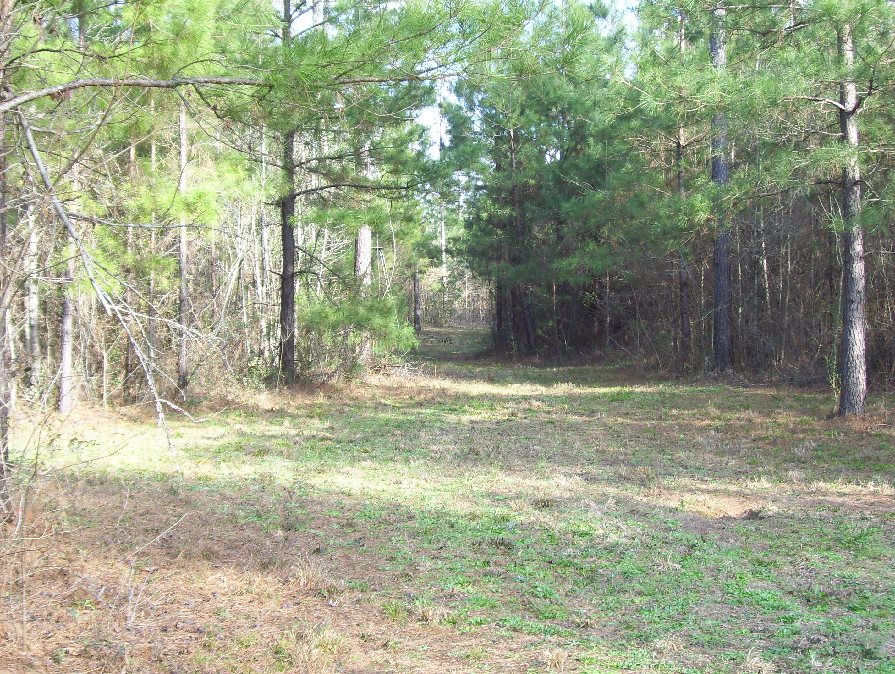 hunting land for sale in michigan