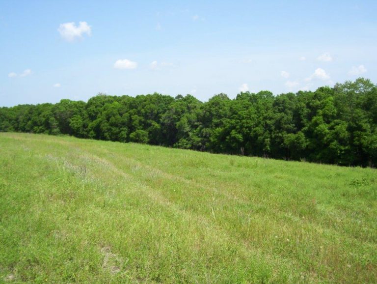 Agri Land Realty, LLC.