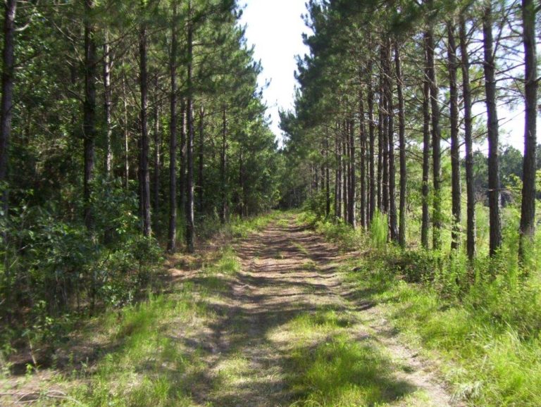 Agri Land Realty, LLC.