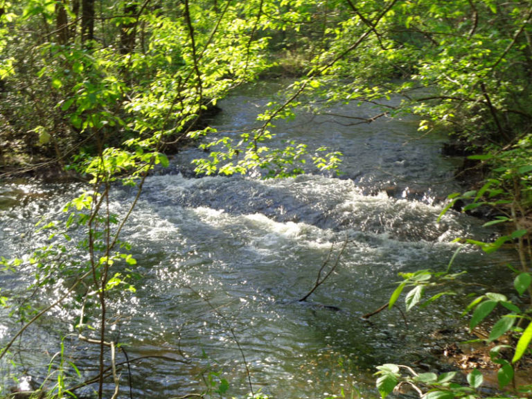 Agri Land Realty, LLC.