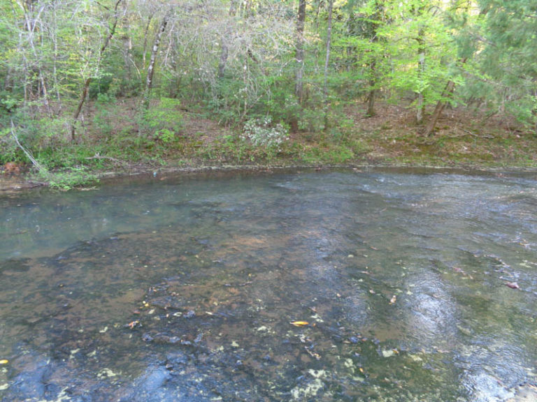 Agri Land Realty, LLC.