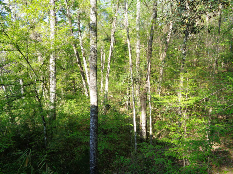 Agri Land Realty, LLC.