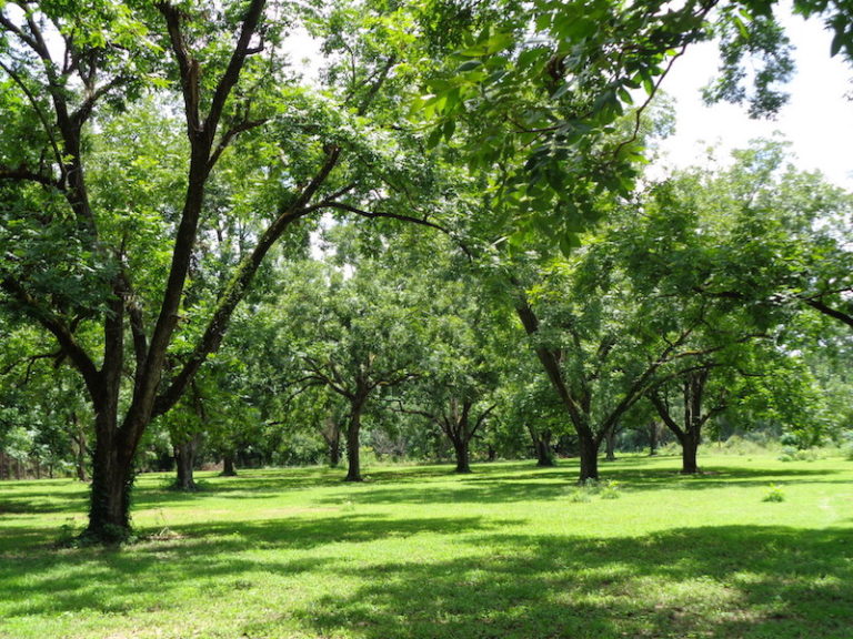 Agri Land Realty, LLC.