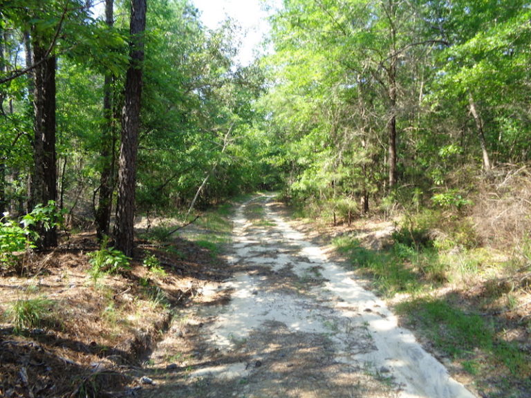 Agri Land Realty, LLC.