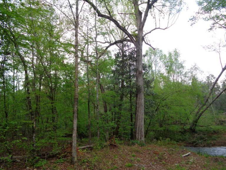 Agri Land Realty, LLC.